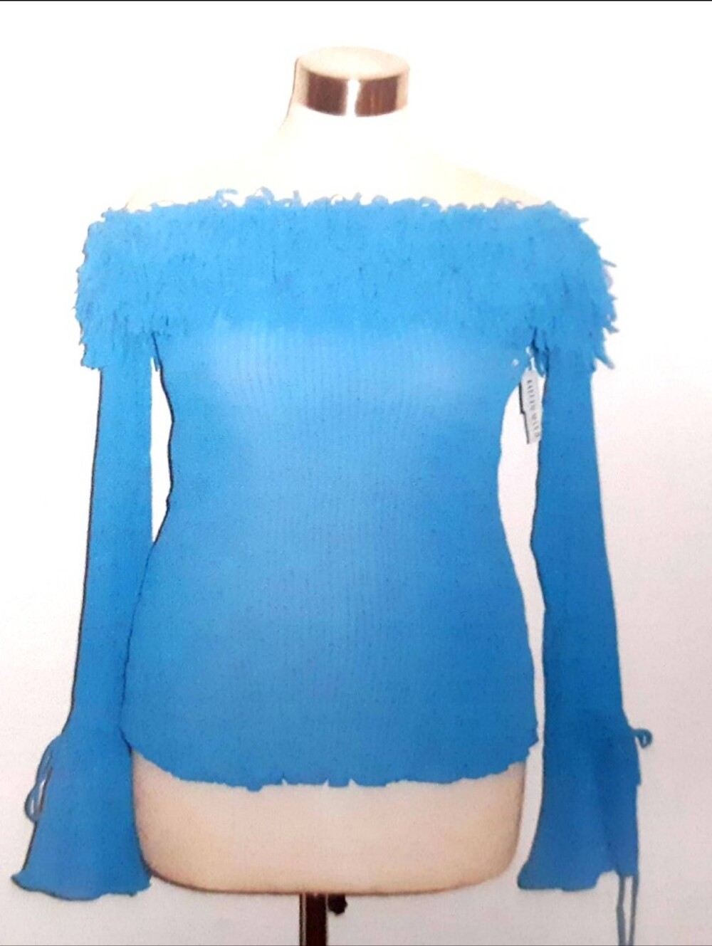 Kaeylyn Max II Off-Shoulder Fringe Detail Sheer Top (Blue)